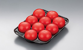 Fruits Tray/ Vegetable Tray