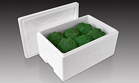 ESLEN Beads(Vegetable Box)
