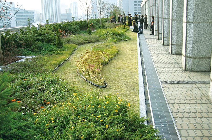 Lightweight Rooftop Greening Method